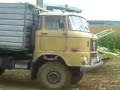 Mais 2007 W50