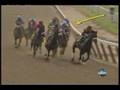 Big Brown and Tale of Ekati contact in Belmont