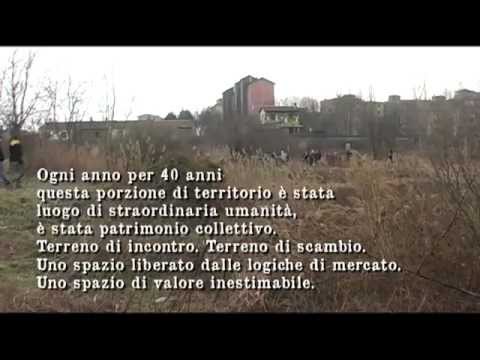 Immagine anteprima YouTube