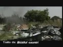 Inquinamento in Campania Inquinamento in Campania