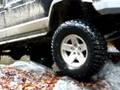 videos de Tellico Nov.15th, 2008