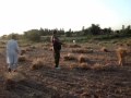 engineer nadeem paracha kiyani hanzllah hunting pakistan deer hunting teeter hunitng rabit hunting43 engineer nadeem paracha kiyani hanzllah hunting pakistan deer hunting teeter hunitng rabit hunting43