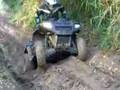 Polaris 500 sportsman x2(Carvalhal)1 Bichos do Mato