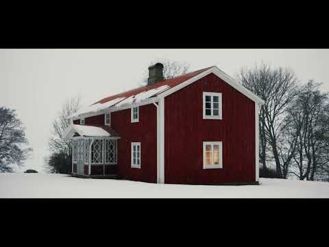 Video Title Video Alt