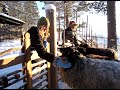 Sn�, sol och bl� himmel dec08-jan09