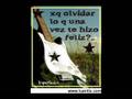videos de SiGo EsTaNdO aKi
