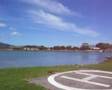 Raglan Harbour New Zealand Aotearoa
