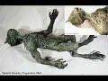 animales paranormales