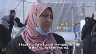 Community Hydronic Garden in Aida Refugee Camp,حديقة الزراعة المائية في مخيم عايدة
