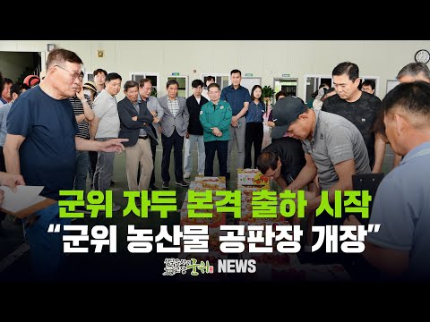 군위 자두 본격 출하 시작 ... 군위 농산물 공판장 개장