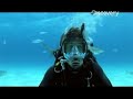 MythBusters- Swimming with Sharks MythBusters- Swimming with Sharks
