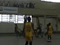 pemba neles (piru rasgandu o ferreira viana)
