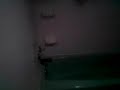 Brand Knew Bathroom