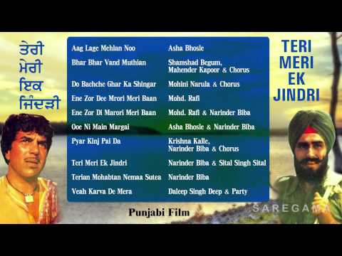 Teri Meri Ek Jindri | Punjabi Film Songs | Audio Juke Box | Dharmendra | Rajendra Kumar