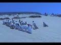 Vengeance is Served  \"Son of a Beach\" Chp 2