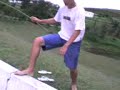 renan sandrini