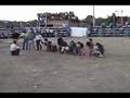 jaripero rancher df