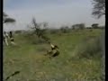 Ver vídeo
