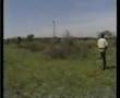 caza mayor: cazando leones