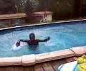 videos de trying to surf