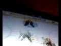 Scotty's 1 hander.. Sorry for the weird sounds in the background :S