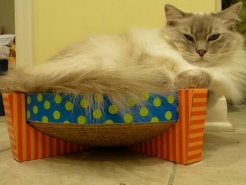 Petstages Cardboard Cat Bowl 0 Petstages Cardboard Cat Bowl