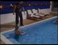 Yawmiyat 04/02/08 Part5 Star Academy 5 يوميات ستار اكاديمى