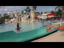 Wet N Wild Video