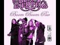 Boom Boom Pow- Black Eyed Peas + Lyrics (Not a Remix)