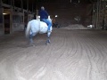 Thumper, 9 year old Percheron/QH mare after 2 weeks with the trainer, 1 week with a bit. Check out her Facebook page for more pics and video: Thumpity Harrumph. Asking price:$3000