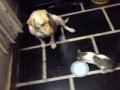 MOV01020.MP4