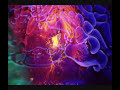 note: please watch in high quality!

this song was released on popol vuh's soundtrack for werner herzog's film 