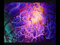 note: please watch in high quality!

this song was released on popol vuh's soundtrack for werner herzog's film 