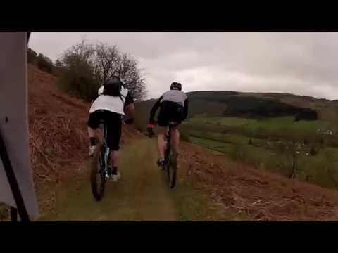 chain reaction cycles