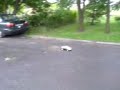 nYpr Drift RC
