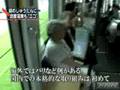 Kagoshima mette piante verdi nei percorsi tram