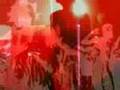 the Amorphous Androgynous-NEW ALBUM-the Peppermint Tree