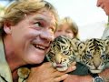A tribute to Steve Irwin A tribute to Steve Irwin