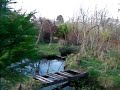 The Bog Garden in the Permaculture Gardens - YouTube: Frogs have begun to lay their spawn in the ponds at Beal... http://t.co/J2BM4nufj7
