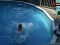 sick around the back dunk