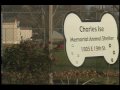 KUJH-TV News: Holidays for the animals