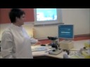 Sun Rays since 2001 in Hospital in Jonquiere, Quebec, Canada