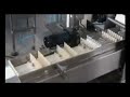 Tube Filler and Carton Machine Production Line