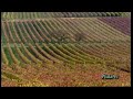 Herbstzeit an der Südlichen Weinstraße Herbstzeit an der Südlichen Weinstraße