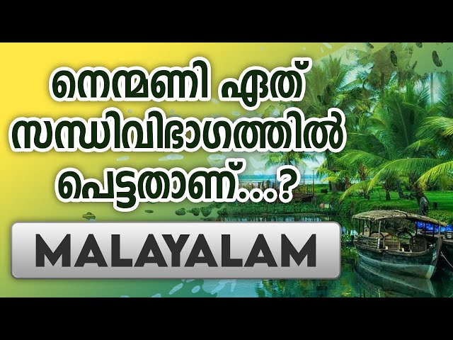 Malayalam Live Class