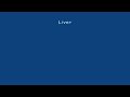 Liverpool vs Manchester United 2-0 All Goals Highlights HQ FA Premier League 25102009