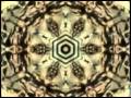 Zibú Speaks - Psychdelic Visual
