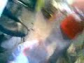 Click here to watch this video fernando x telinho