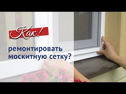 Заменить москитную сетку Заменить москитную сетку