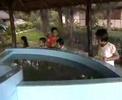 du-lich-tu-nam-ra-bac-11-of-21-phan-rang.html